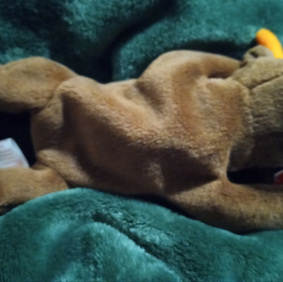 Chocolate moose beanie baby - Picture 4 of 5